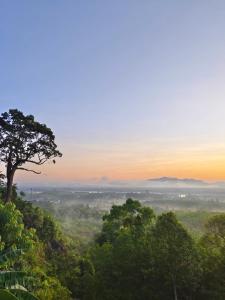 a tree on a hill with a sunset in the background at BaanPhutawanLanta in Ban Mo Nae