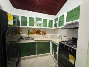 a kitchen with green cabinets and a sink and a stove at Apartamento Monterrey in Monterrey +6 photos