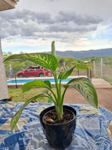 Naturlandskabet i nærheden af campingpladsen