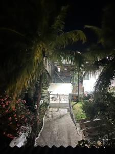 卡博迪圣阿戈斯蒂尼奥Casa Mina do Surf的棕榈树花园的走道