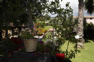 Vonkajšia záhrada v ubytovaní Villa esclusiva con piscina privata e vista Etna