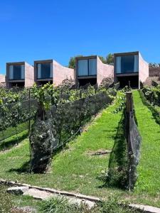 Afbeelding uit fotogalerij van Hacienda Lagunillas in Querétaro
