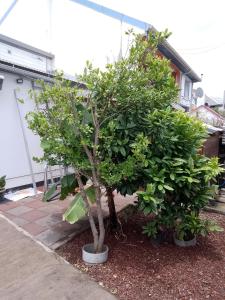 Fotografie z fotogalerie ubytování Ti case Les Girofles v destinaci Saint-Benoît + 25 fotografií