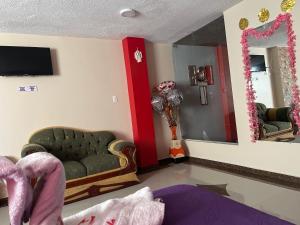 TV a/nebo společenská místnost v ubytování Hospedaje la Cascada