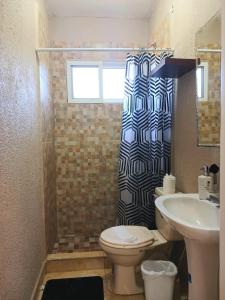 Sandy BayにあるSerenity Luxury Villaのトイレとシャワーカーテン付きのバスルーム +3枚の写真