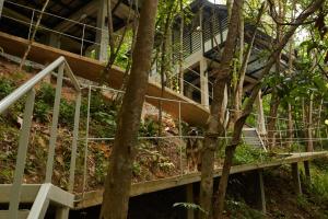 a cat standing on a staircase in front of a building at Amazing Mountain View Lodge with Pool in Kuala Kubu Baharu