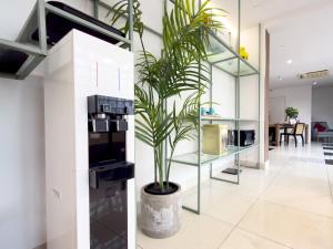 a plant in a pot in a living room at Living At DSulaiman Hotel in Kuala Lumpur