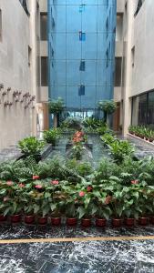 O grădină în afara Vienna International Hotel