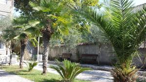 twee palmbomen en twee banken in een tuin bij Kazablanka Rooms Aerodrom in Podgorica