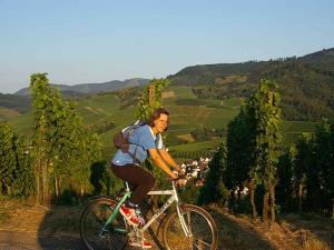 a man riding a bike down a hill at Gasthaus Hohberg in Durbach