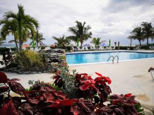 Fotografie z fotogalerie ubytování Modern Oceanview Retreat-Pool, Bar, Restaurant! v destinaci Freeport