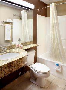 a bathroom with a toilet and a sink and a tub at Microtel Inn & Suites by Wyndham Wheeling at The Highlands in Triadelphia