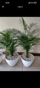 Fotografie z fotogalerie ubytování Villa armonía v destinaci San Isidro