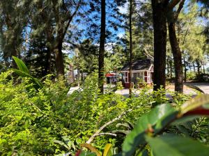 Φωτογραφία από το άλμπουμ του Crosswinds Standard Suite σε Ulot +14 φωτογραφίες