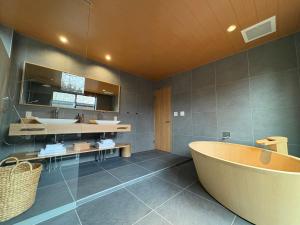 Ένα μπάνιο στο KOMU Hakuba +22 φωτογραφίες