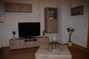 a living room with a flat screen tv on a table at Lorettablick in Sonnenberg-Winnenberg