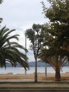 two palm trees in a park near the water at Appartamento Francesca in Alghero