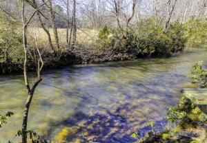 a river with a bridge in the middle of it at Summer by the Creek - Hot Tub - Game Room - Fishing in Blue Ridge