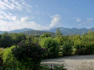 a view of a garden with mountains in the background at Pensiunea Arpasel in Arpaşu de Sus +14 photos