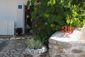 Fotografie z fotogalerie ubytování Guest House Pamela v destinaci Senj