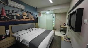 TV/trung tâm giải trí tại Thank Inn Hotel He'nan Xinxiang Changyuan Bo'ai Road