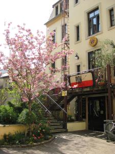 un árbol con flores rosas delante de un edificio en Hostel Louise 20 en Dresden