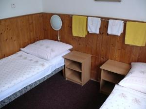 Postel nebo postele na pokoji v ubytování Penzion Dana Troja