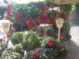 Zahrada ubytování Hotel & Pension Aßmann