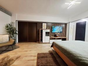 a bedroom with a bed and a tv on a wall at Bulevard 11 in Brăila