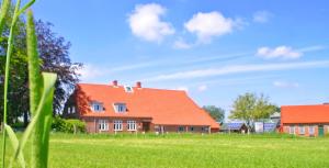 une maison avec un toit orange sur un champ verdoyant dans l'établissement Hof Viehbrook, à Hollenbek