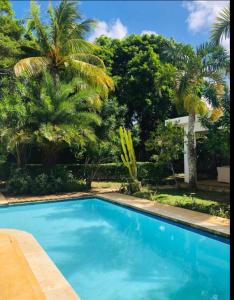 格兰贝伊Private Villa Azure Garden with pool的棕榈树庭院中的蓝色游泳池