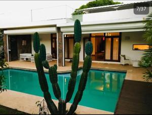 格兰贝伊Private Villa Azure Garden with pool的仙人掌在带游泳池的房子前 更多20张照片