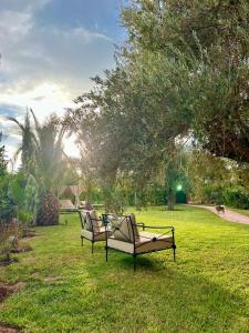 two benches sitting in the grass in a park at Villa Dar Al Hayat in Marrakesh +92 photos