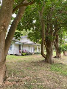 Vườn quanh The Cottage next to Cambewarra Estate Winery +29 ảnh