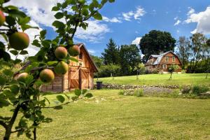 an apple tree in front of a house at Morelówka in Kazimierz Dolny