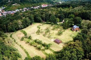 Przyroda w pobliżu tego domu w stylu alpejskim