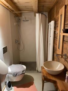 MundelfingenAm Rathaus 1的带水槽和淋浴的浴室