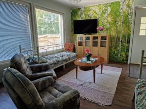 Μια τηλεόραση ή/και κέντρο ψυχαγωγίας στο Koivikko