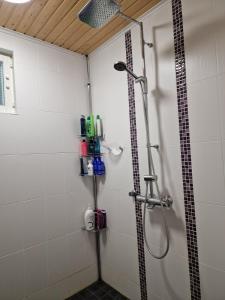 Ένα μπάνιο στο Koivikko