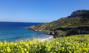 een uitzicht op een strand met gele bloemen bij White Stallion in Mellieħa