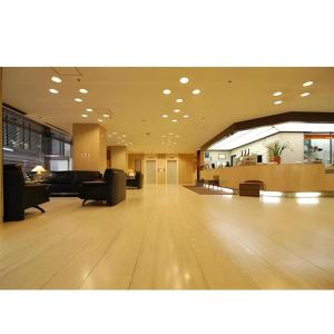 Χώρος καθιστικού στο Sunroute Aomori Hotel