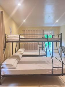 长滩岛Boracay Amor Apartment (Garden)的带窗户的房间里有两张双层床