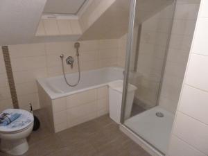 un bagno con doccia e WC di Haus Bergblick 1 a Utzmemmingen
