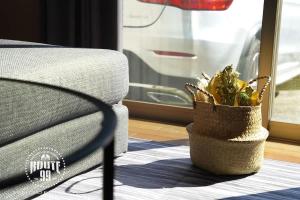 Eine Couch und eine Topfpflanze stehen neben einem Fenster. in der Unterkunft Route 99 Sengokuhara in Sengokuhara