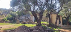 Příroda nedaleko apartmánu + 4 fotografie