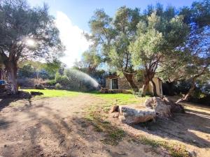 Zahrada ubytování Smeralda Pic House