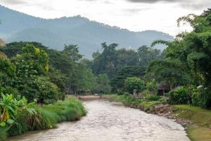 a river with trees and mountains in the background at The Riverfront Reserve in Pai