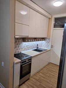 a kitchen with white cabinets and a sink at Rustic Elegance Suite in Vrbas