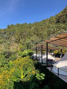 Phong cảnh thiên nhiên gần nhà nghỉ nhỏ