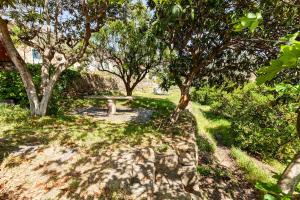 Vườn quanh Quinta das Amendoeiras